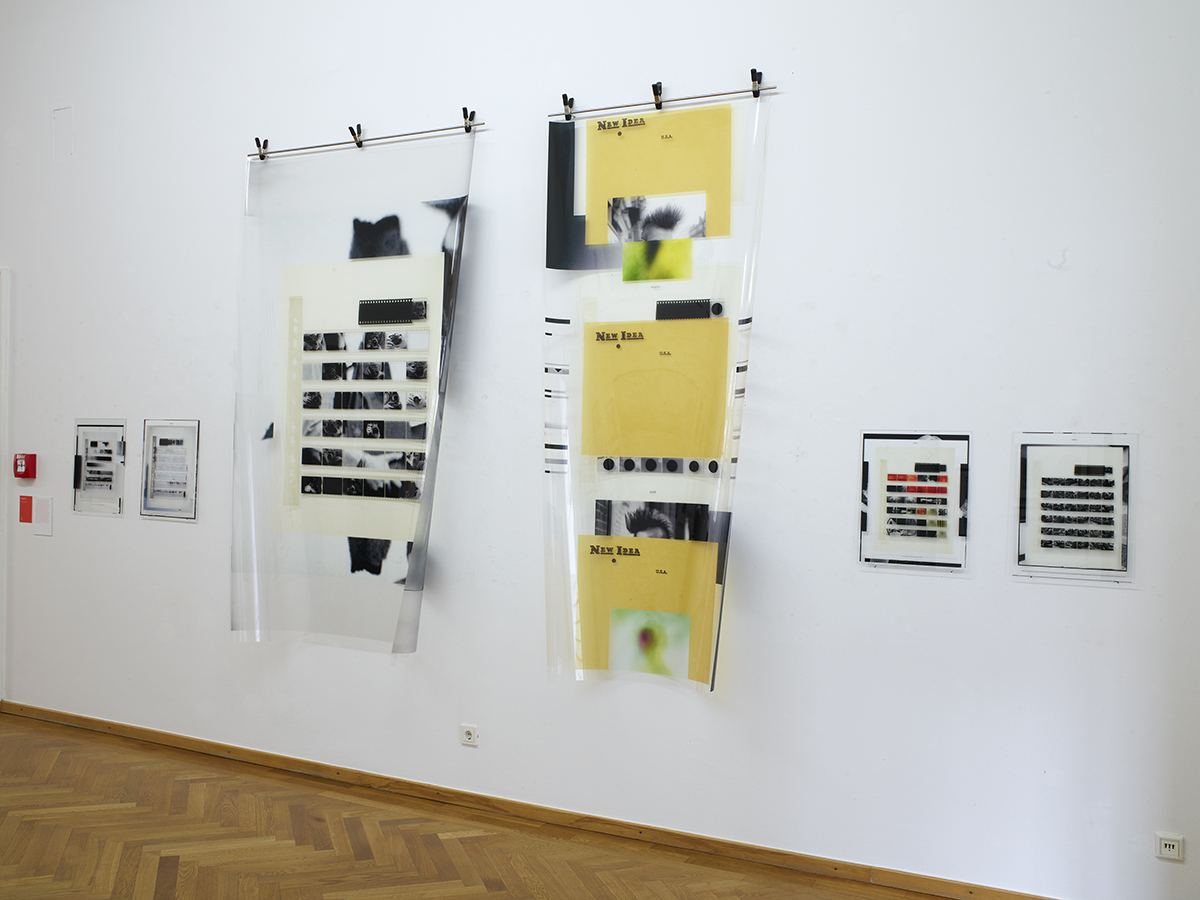 DREAMS AND MY REALITY  I | Mareike Foecking